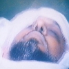 شهيد ورا شهيد والموكب عم بيزيد